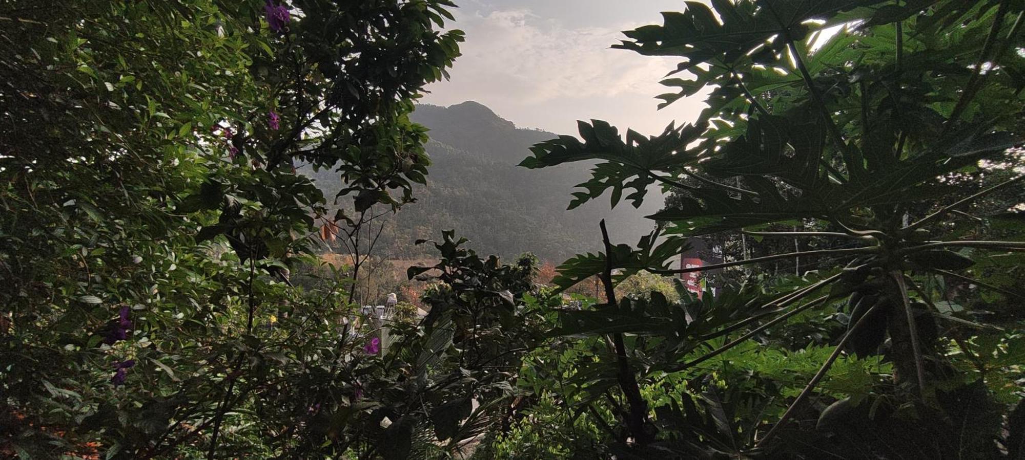 Koonamparayil Home Stay Munnar Anaviratty-Family Only Exterior foto