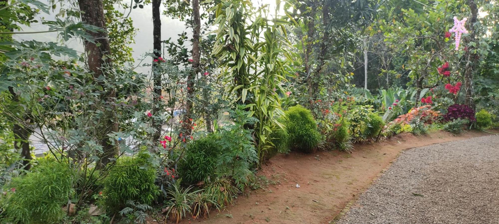 Koonamparayil Home Stay Munnar Anaviratty-Family Only Exterior foto